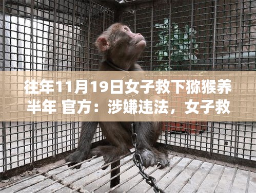 女子救助獼猴半年后面臨法律困境，動(dòng)物救助行為與法律邊界的探討