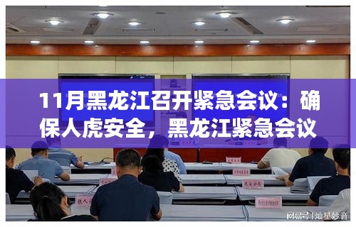 黑龍江召開(kāi)緊急會(huì)議，共筑人虎安全防線，守護(hù)家園和諧安寧