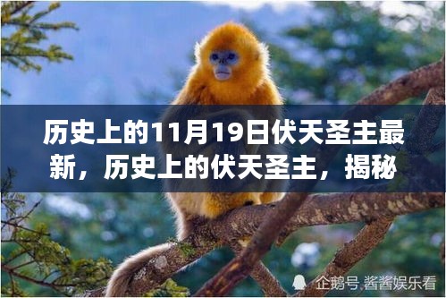 揭秘歷史上的伏天圣主，神秘事件與重大時(shí)刻的交織最新資訊（最新篇）