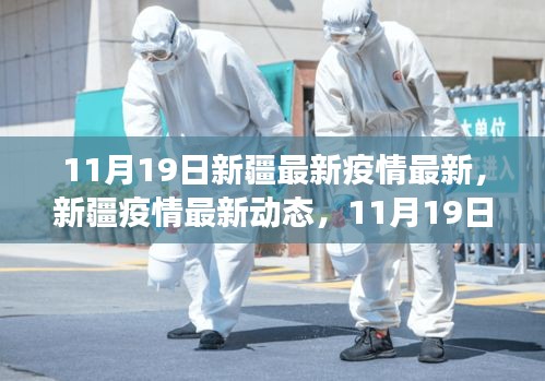 新疆疫情最新動態(tài)，11月19日抗疫進展與影響概述