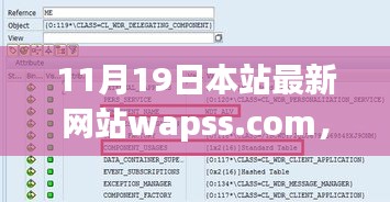 初學(xué)者與進(jìn)階用戶必看，最新網(wǎng)站wapss.com使用指南全攻略