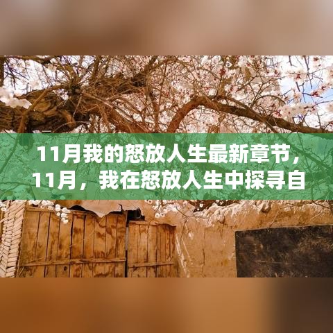 11月探尋自然秘境，怒放人生中的內(nèi)心寧?kù)o與平和