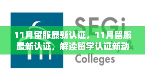 解讀最新留服認證動態(tài)，助力留學生職業(yè)發(fā)展，十一月留學認證更新概覽