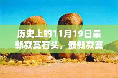 溫馨故事，友情與陪伴的旅程——最新寂寞石頭紀(jì)念歷史上的11月19日