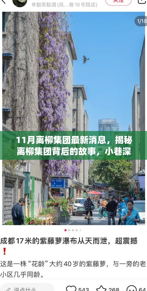 離柳集團(tuán)最新揭秘，小巷深處的獨特風(fēng)味小店十一月探訪之旅