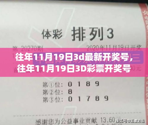 往年11月19日3D彩票開獎號碼詳解，評測、特性、用戶體驗、競品對比及用戶分析