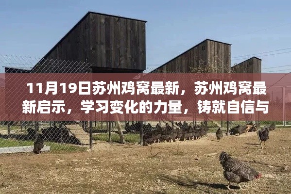 蘇州雞窩最新啟示，學(xué)習(xí)變化的力量，鑄就自信與成就之路