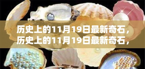 歷史上的11月19日，最新奇石的獨特魅力與深度解析