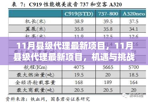 11月縣級(jí)代理最新項(xiàng)目，機(jī)遇與挑戰(zhàn)并存