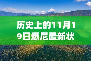 歷史上的11月19日，悉尼最新狀況與秘境探索，自然美景中的心靈之旅