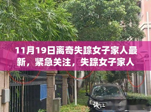 失蹤女子最新動態(tài)揭秘，家人緊急關(guān)注，11月離奇失蹤案件真相探尋
