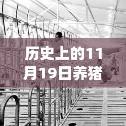 歷史上的11月19日，養(yǎng)豬場用地新政策解讀與操作指南，最新政策解讀及操作指南