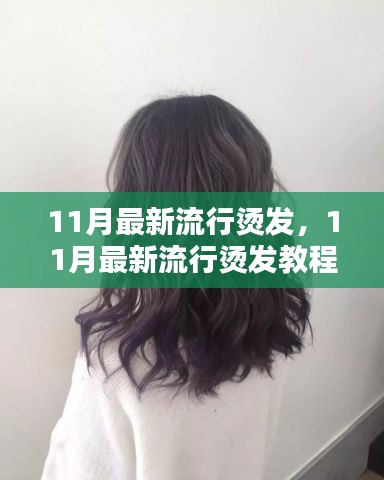 11月最新流行燙發(fā)教程，輕松打造魅力卷發(fā)造型