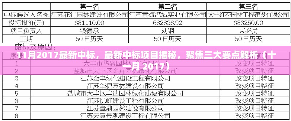 揭秘2017年11月最新中標(biāo)項(xiàng)目，三大要點(diǎn)深度解析
