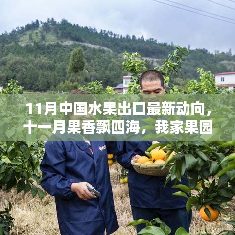 11月水果出口最新動(dòng)態(tài)，果香飄四海，跨國友情與果園的出口奇遇