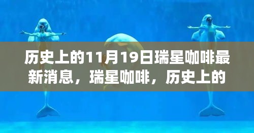 瑞星咖啡歷史上的11月19日，回望與最新消息的影響
