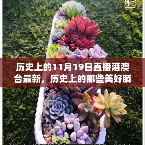 歷史上的美好瞬間，探尋自然美景與心靈的寧靜港灣（直播港澳臺最新）