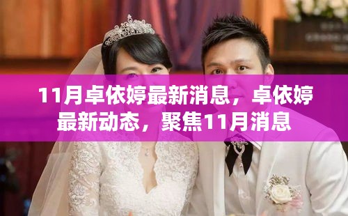 卓依婷11月最新動態(tài)與消息聚焦