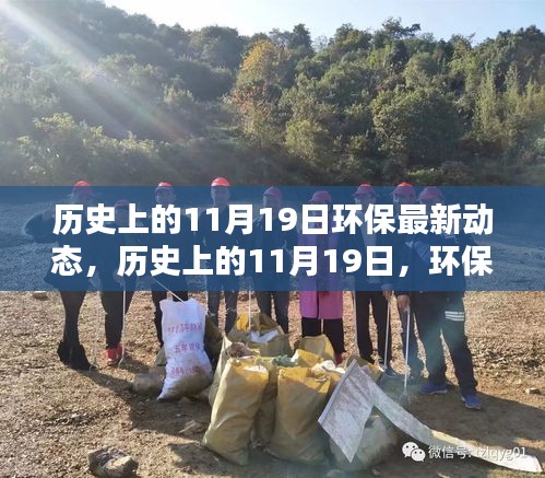 歷史上的環(huán)保新篇章，11月19日的綠色動(dòng)態(tài)與挑戰(zhàn)中的自信成就未來(lái)。