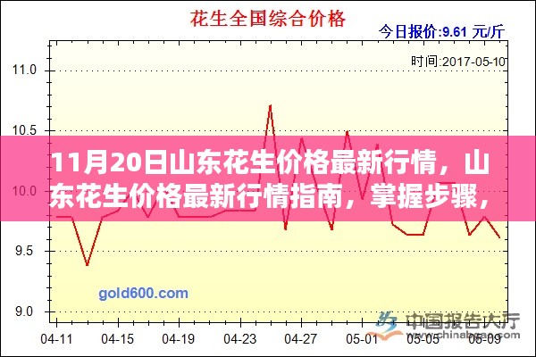 山東花生最新行情解析，掌握價(jià)格走勢(shì)，洞悉市場動(dòng)態(tài)（11月20日）