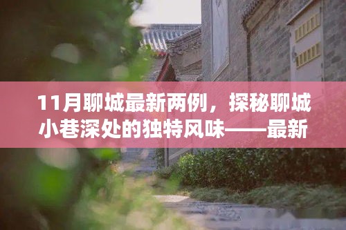 探秘聊城小巷深處，最新發(fā)現(xiàn)的兩家隱藏小店——11月聊城最新兩例獨(dú)特風(fēng)味小店