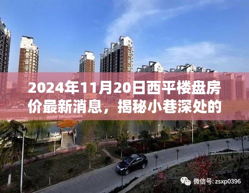 揭秘繁華西平樓盤(pán)背后的神秘小店與最新房?jī)r(jià)動(dòng)態(tài)，2024年西平房產(chǎn)最新消息及小巷風(fēng)情探索