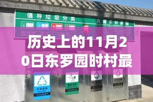 歷史上的11月20日與東羅園時(shí)村最新動(dòng)態(tài)揭秘，全面評(píng)測與最新動(dòng)態(tài)速遞