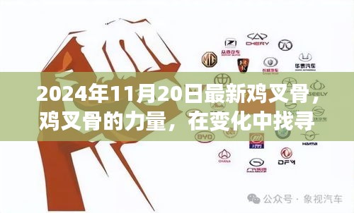 勵(lì)志之旅，雞叉骨的力量與自信成就感的探尋之路（2024年11月20日最新）