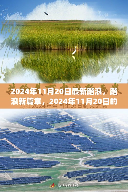 2024年11月20日踏浪新篇章，心靈與自然之旅