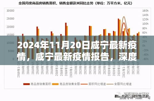 2024年11月20日咸寧疫情報(bào)告，深度解析與競(jìng)品對(duì)比，疫情態(tài)勢(shì)及應(yīng)對(duì)策略