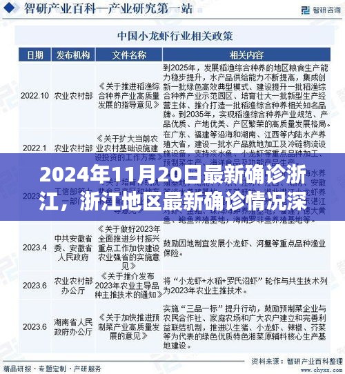 浙江最新確診深度解析，挑戰(zhàn)與機遇并存——浙江地區(qū)疫情報告（2024年11月20日）