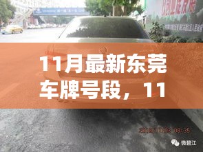 11月最新東莞車(chē)牌號(hào)段評(píng)測(cè)與詳解