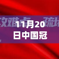 中國(guó)冠狀病毒最新?tīng)顟B(tài)深度解析（截至日期，11月20日）