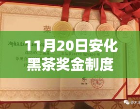 安化黑茶獎金制度最新解析及全面產(chǎn)品特性與使用體驗(yàn)探討