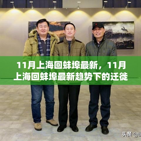 11月上海回蚌埠最新趨勢(shì)觀察與遷徙個(gè)人觀點(diǎn)分享