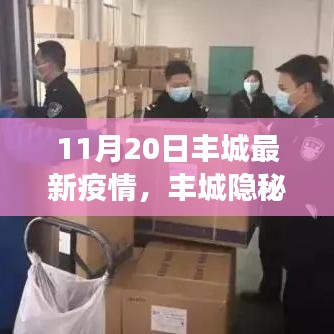 豐城隱秘小巷，疫情下的獨特風(fēng)味探秘——最新疫情觀察報告（11月20日）