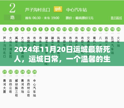 溫馨告別，友情長(zhǎng)存——運(yùn)城日常的生命告別故事（2024年11月20日最新）