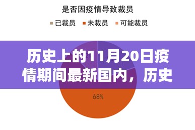 我的觀點(diǎn)，歷史上的11月20日與疫情期間國內(nèi)現(xiàn)狀的探討