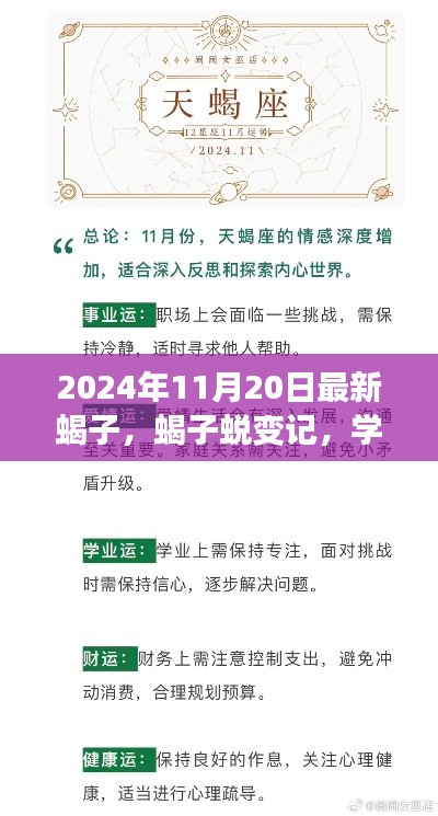 蝎子蛻變之旅，學習變化中的自信與成就感探尋（2024年11月20日最新）