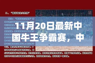 中國牛王爭霸賽深度探討，某某觀點(diǎn)解析與對決