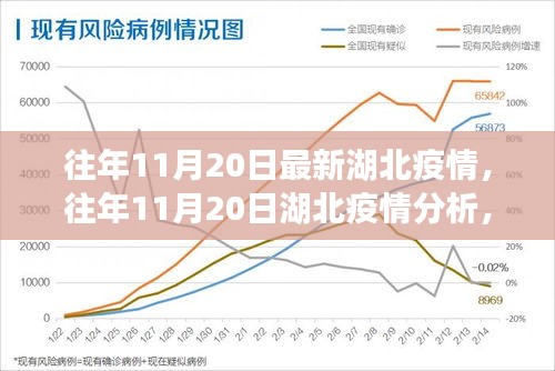 往年11月20日湖北疫情深度分析與解讀，最新數(shù)據(jù)、觀點(diǎn)闡述及趨勢(shì)預(yù)測(cè)