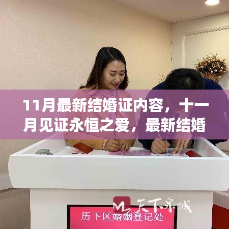 十一月見證永恒之愛(ài)，最新結(jié)婚證內(nèi)容深度解析