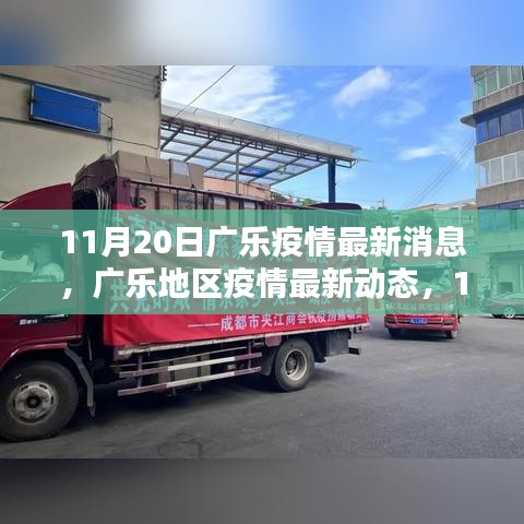 11月20日廣樂疫情最新動(dòng)態(tài)，回顧與影響