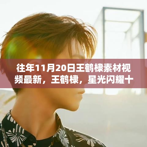 王鶴棣星光閃耀十一月，最新素材視頻回顧
