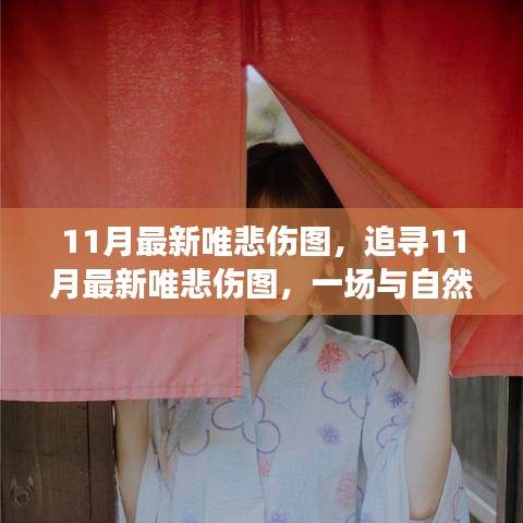 11月最新唯悲傷圖，與自然共舞的心靈治愈之旅