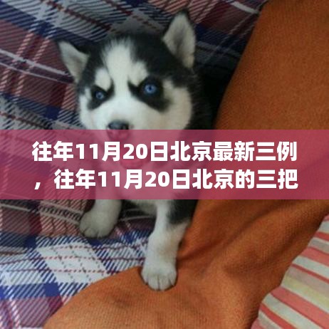 往年11月20日北京三例背后的故事，點(diǎn)燃自信與成就之光的學(xué)習(xí)之旅