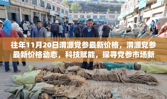 科技賦能下的渭源黨參市場新風(fēng)向，最新價格動態(tài)及市場趨勢分析（往年1月最新數(shù)據(jù)）
