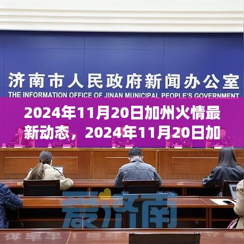 深度解析與個(gè)人立場(chǎng)下的加州火情最新動(dòng)態(tài)，多方觀(guān)點(diǎn)探討，2024年11月20日