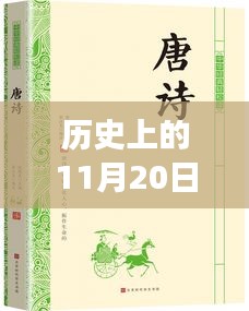 麻衣神算子最新章節(jié)閱讀指南，歷史11月20日更新，初學(xué)者與進(jìn)階用戶(hù)必讀