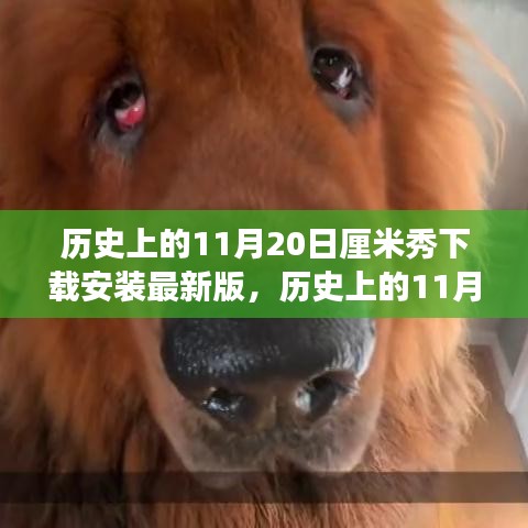 懷真抱素 第6頁(yè)